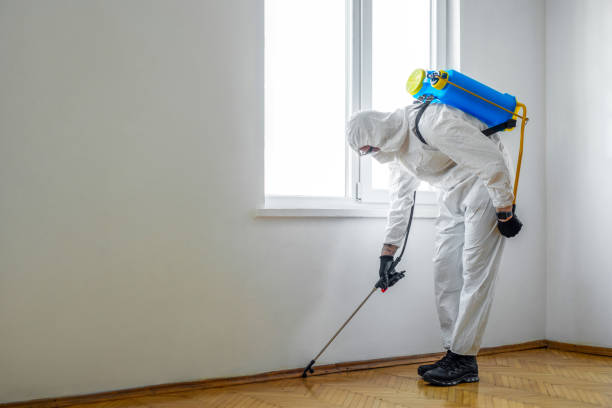 Best Emergency Pest Control  in Patton Village, TX